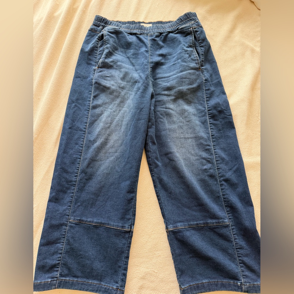 Anthropologie Pilcro Pull On Barrel Wide-Leg Blue Denim Jeans - Picture 3 of 8